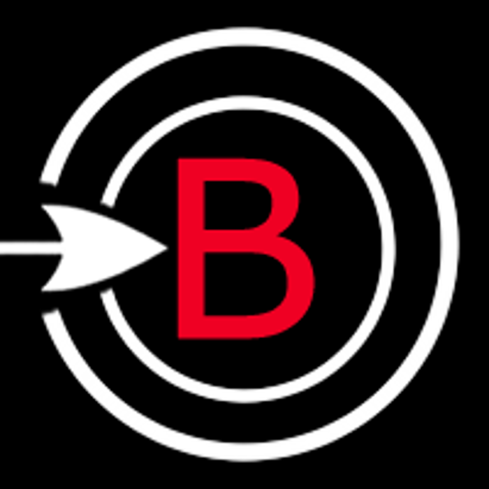 Best In Search Inc. logo